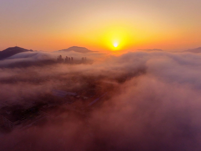 The best photos of 2016 taken by drones