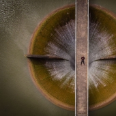 The best photos of 2016 taken by drones