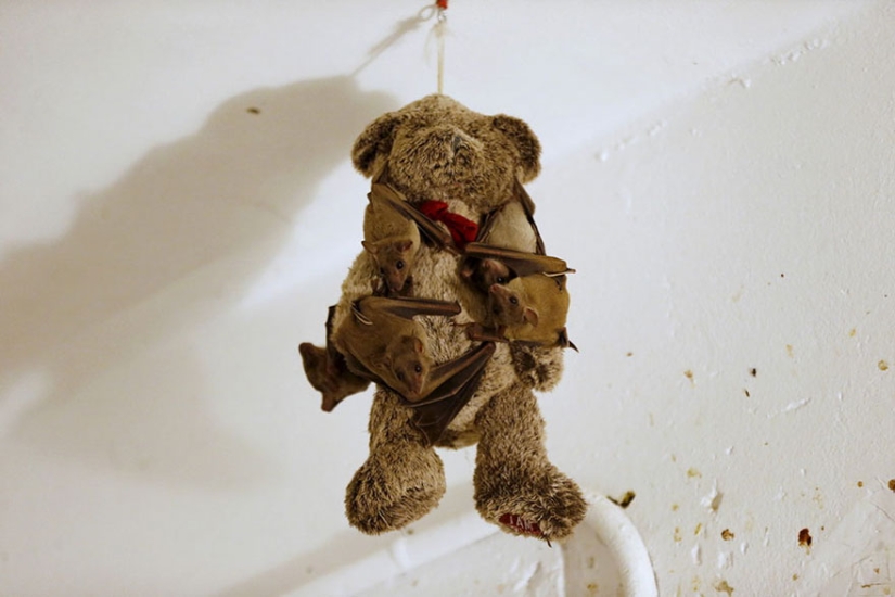 The best photos of 2016 according to Reuters