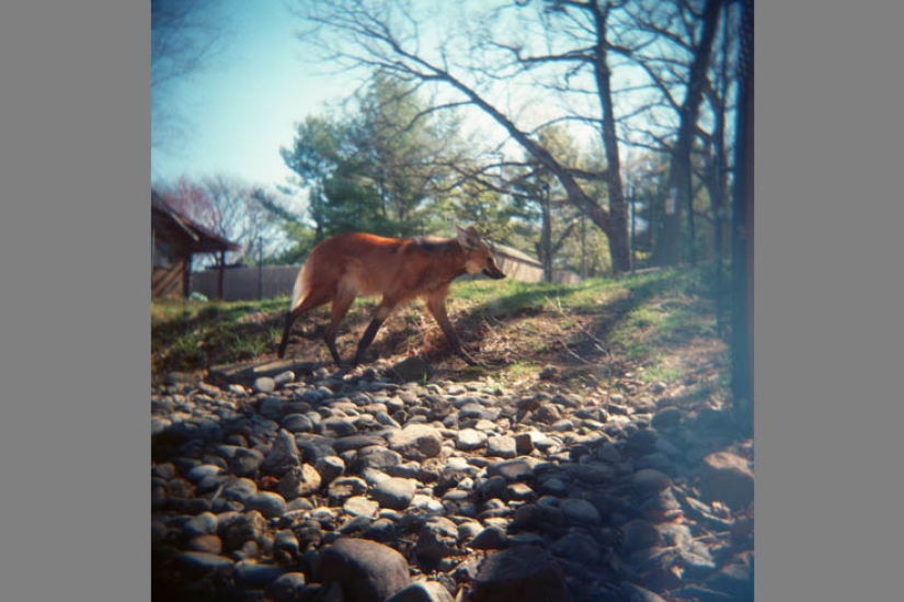 The best photos of the year taken with bad and cheap cameras The best photos of the year taken with bad and cheap cameras