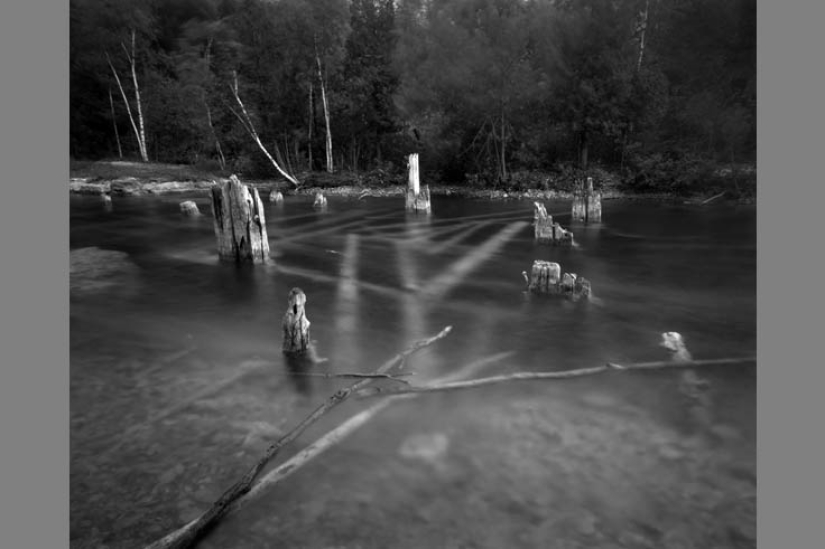 The best photos of the year taken with bad and cheap cameras The best photos of the year taken with bad and cheap cameras