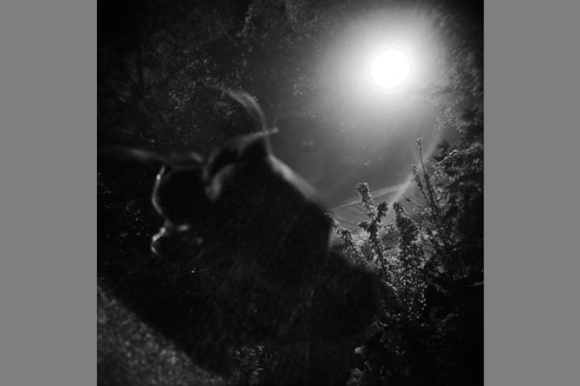 The best photos of the year taken with bad and cheap cameras The best photos of the year taken with bad and cheap cameras