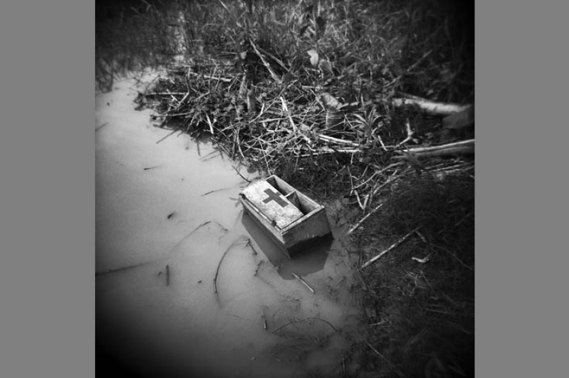 The best photos of the night sky for 2016 The best photos of the night sky for 2016