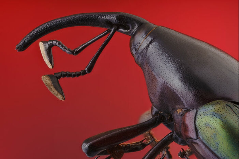 The Best Shots Of The Animal Kingdom, As Announced By The EISA Maestro Awards 2023