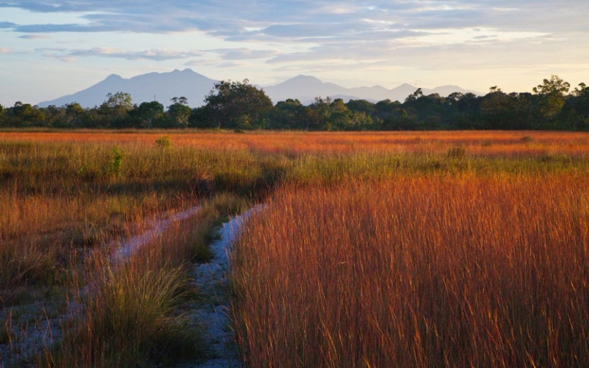 The best Thai islands with virgin nature