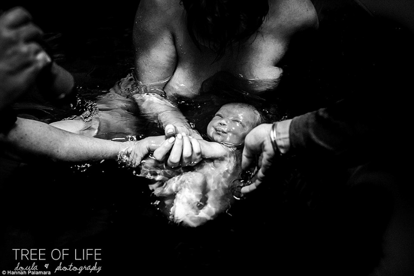 The best works of the winners of the contest of photographers taking pictures of childbirth The best works of the winners of the contest of photographers taking pictures of childbirth