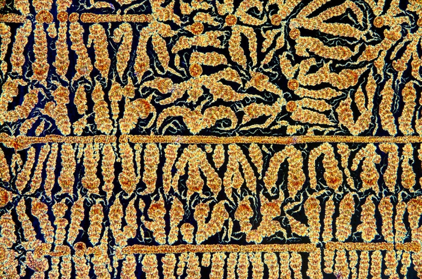 The bewitching beauty of the best scientific personnel of the year The bewitching beauty of the best scientific personnel of the year