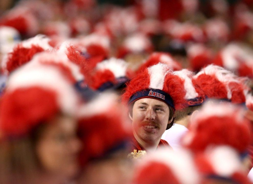 The brightest attempts to get into the Guinness Book of Records in 2013