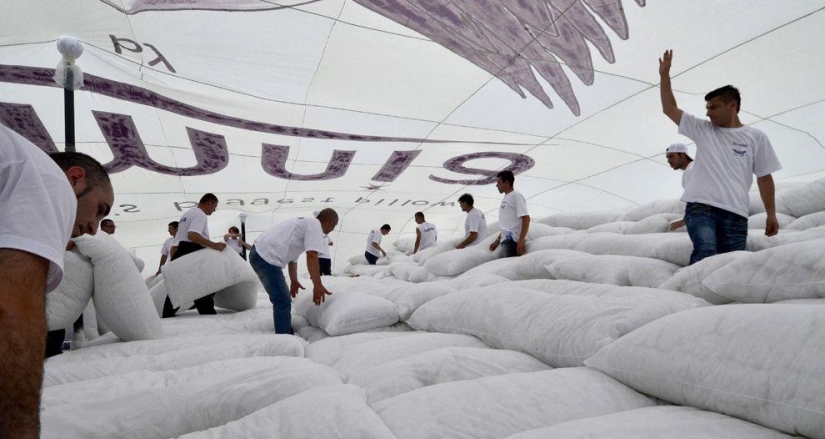 The brightest attempts to get into the Guinness Book of Records in 2013