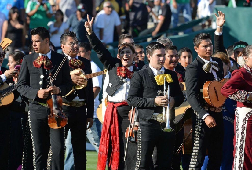 The brightest attempts to get into the Guinness Book of Records in 2013