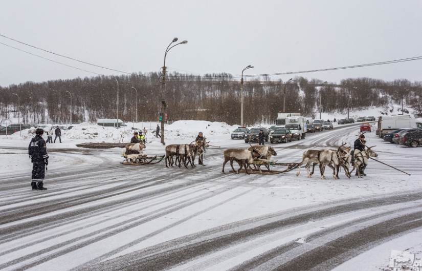 The brightest photos-winners of the Best of Russia — 2016 contest