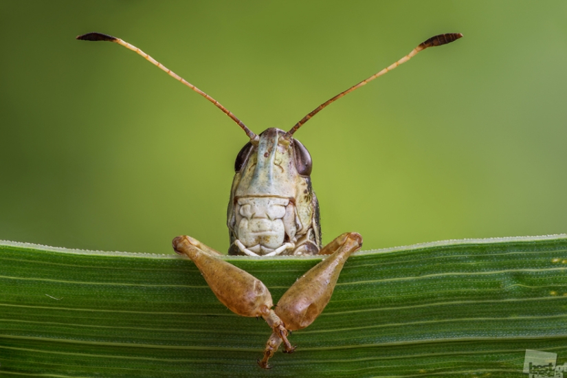 The brightest photos-winners of the Best of Russia — 2016 contest