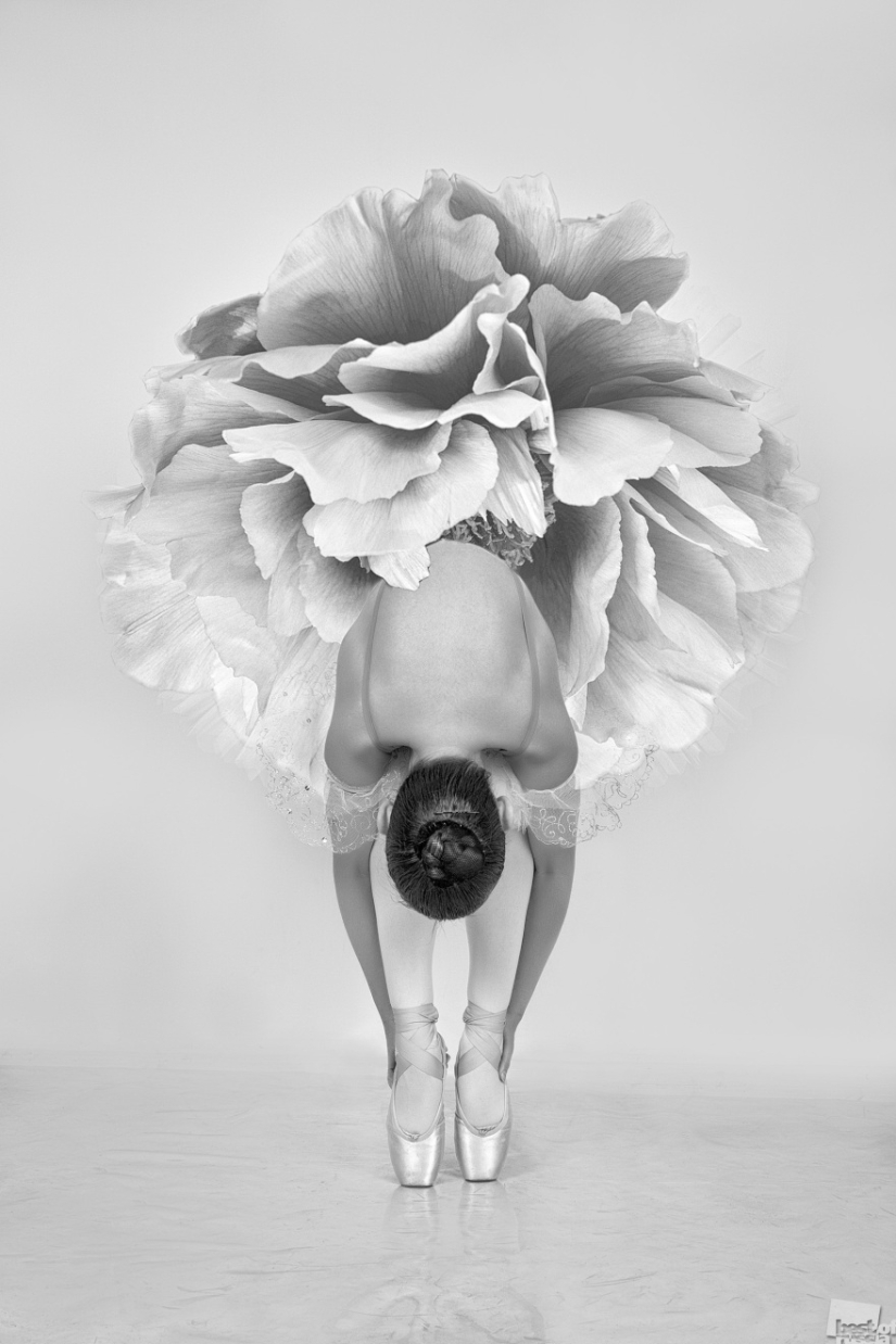 The brightest photos-winners of the Best of Russia — 2016 contest