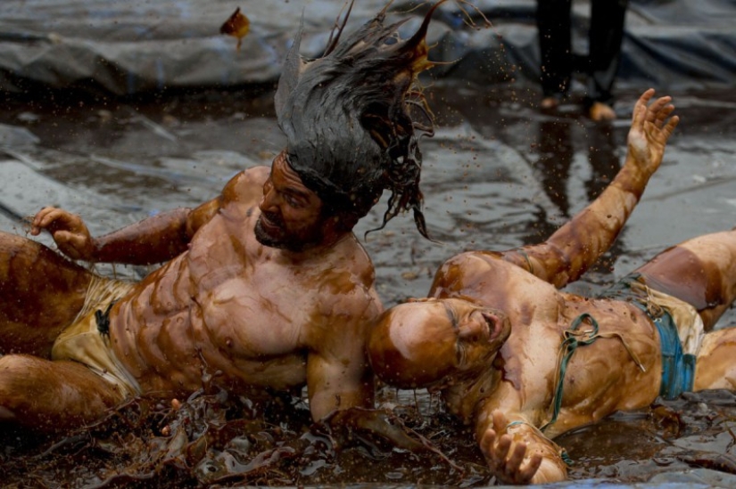 The British are going crazy - in England there was a championship in gravy wrestling
