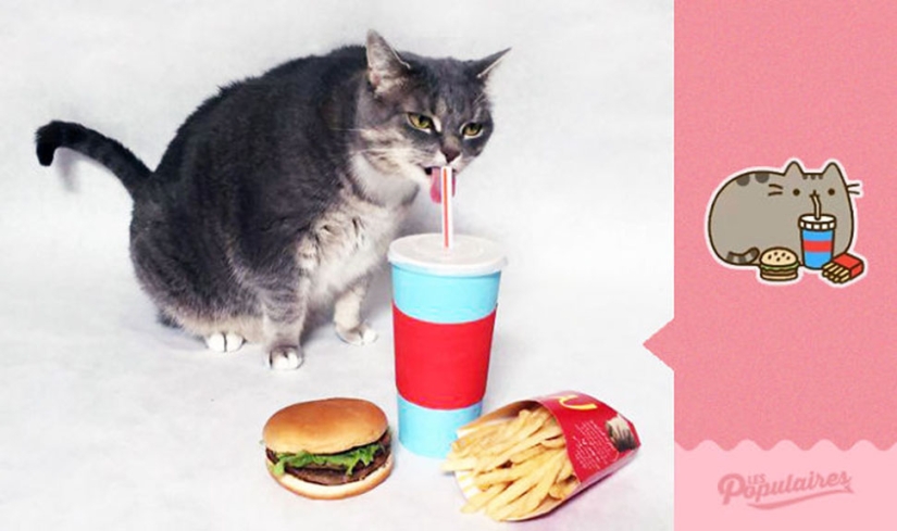 The cat Pushin from Facebook stickers got a living embodiment The cat Pushin from Facebook stickers got a living embodiment