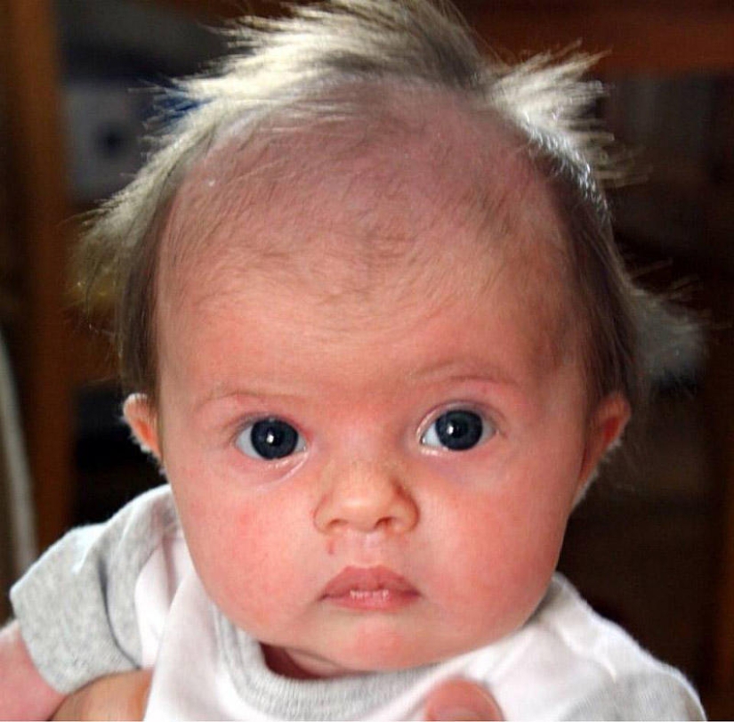 The competition for the strangest hairstyles among kids The competition for the strangest hairstyles among kids