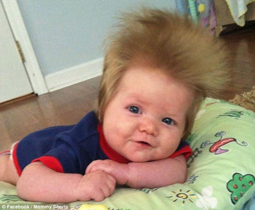 The competition for the strangest hairstyles among kids The competition for the strangest hairstyles among kids