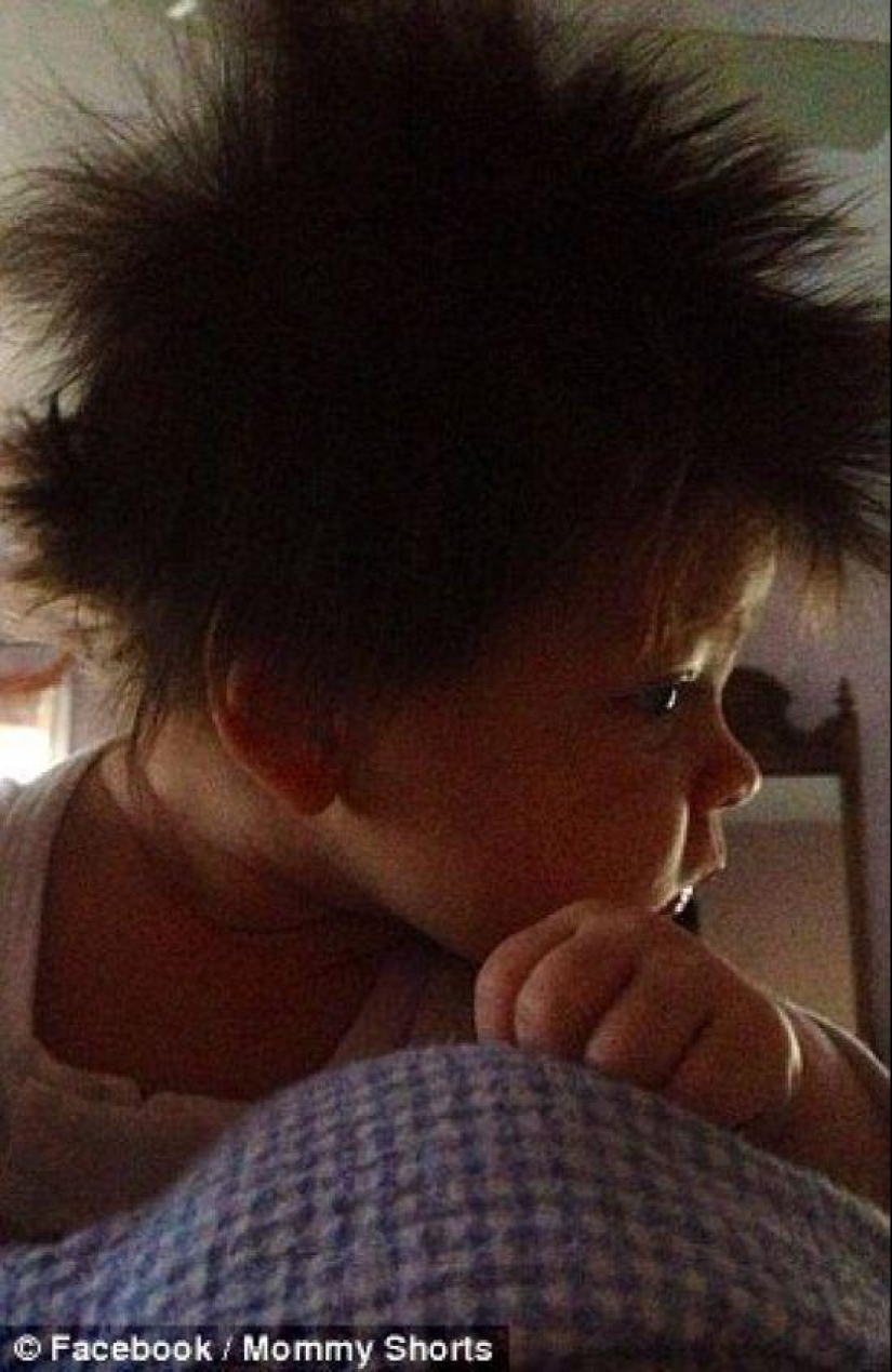 The competition for the strangest hairstyles among kids The competition for the strangest hairstyles among kids