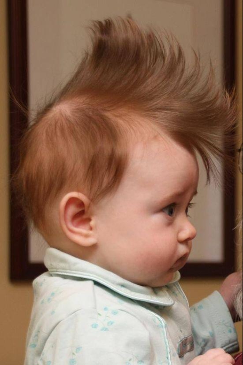 The competition for the strangest hairstyles among kids The competition for the strangest hairstyles among kids