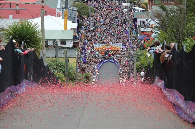 The coolest street in the world The coolest street in the world