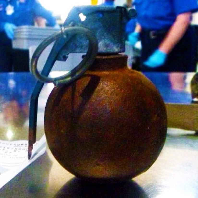 The craziest things people tried to carry on a plane