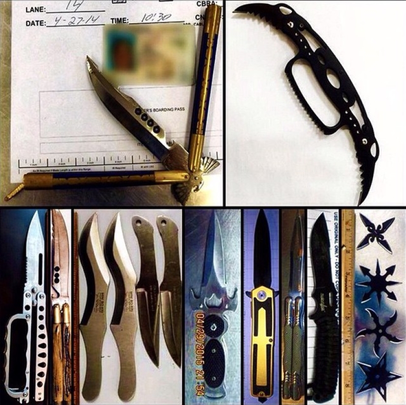 The craziest things people tried to carry on a plane