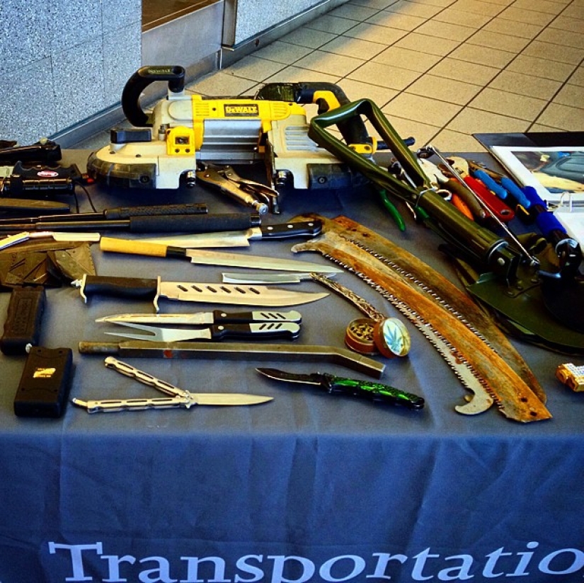 The craziest things people tried to carry on a plane