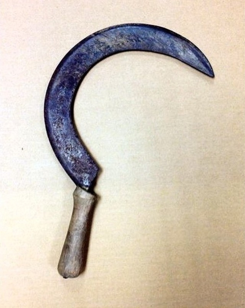 The craziest things people tried to carry on a plane