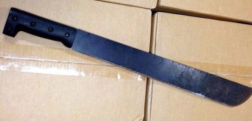 The craziest things people tried to carry on a plane