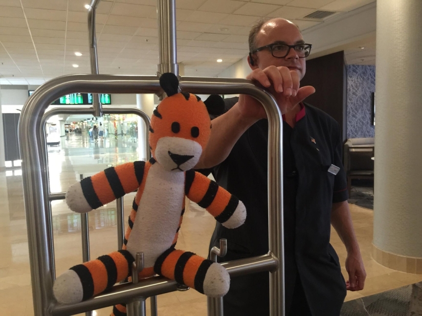 The Crazy Adventures of a Forgotten Tiger at Tampa Airport