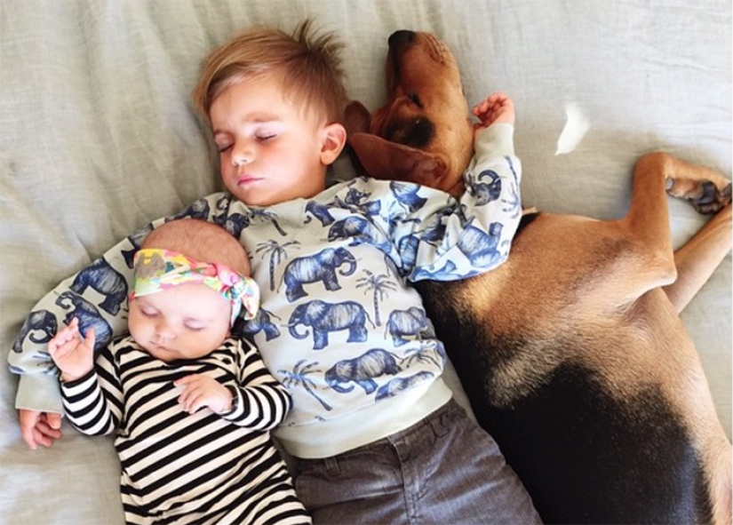 The cutest sleeping trio The cutest sleeping trio