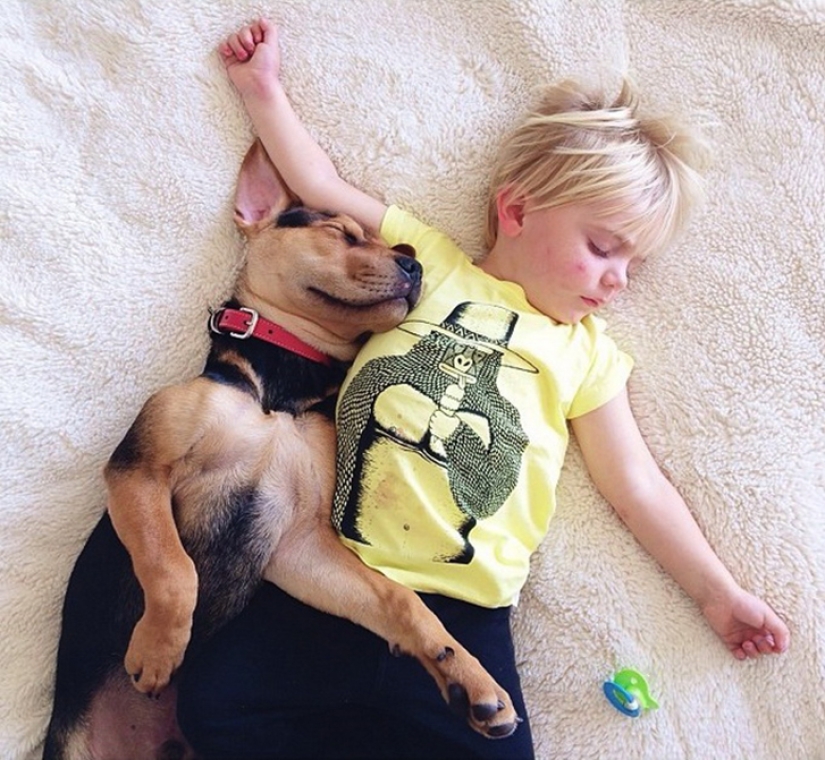 The cutest sleeping trio The cutest sleeping trio