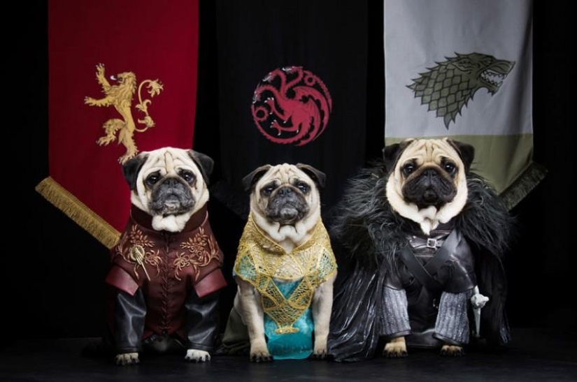 The cutest version of Game of Thrones