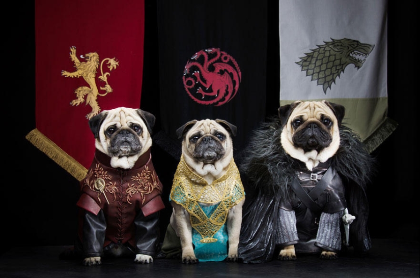 The cutest version of Game of Thrones