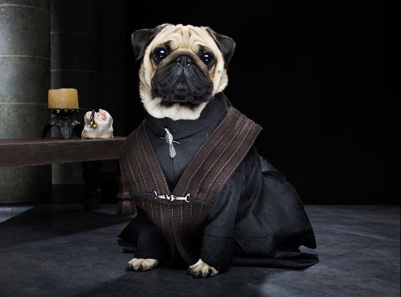 The cutest version of Game of Thrones