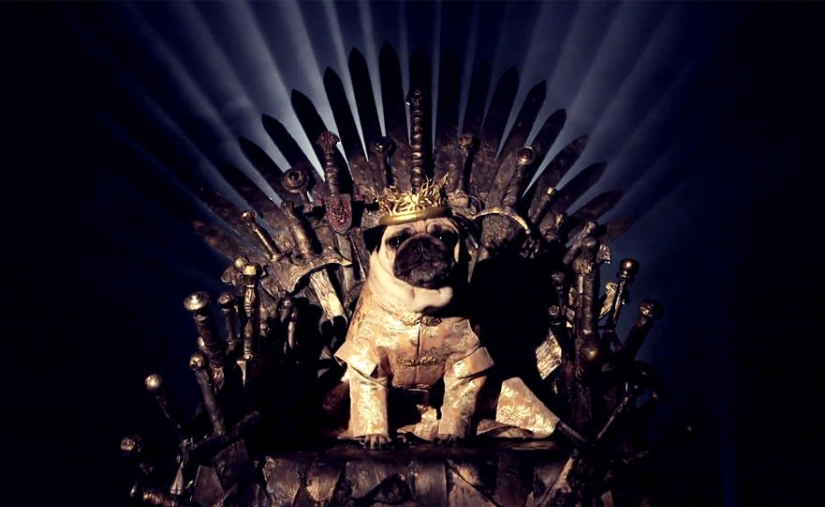 The cutest version of Game of Thrones