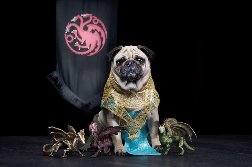 The cutest version of Game of Thrones
