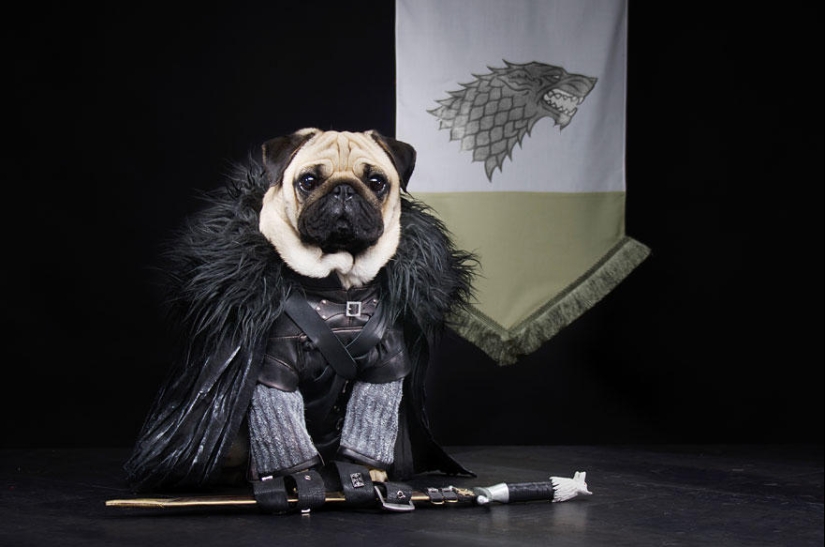 The cutest version of Game of Thrones