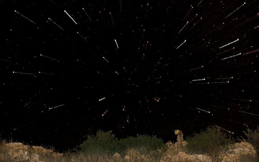 The Dark Side of the Kalahari Desert The Dark Side of the Kalahari Desert