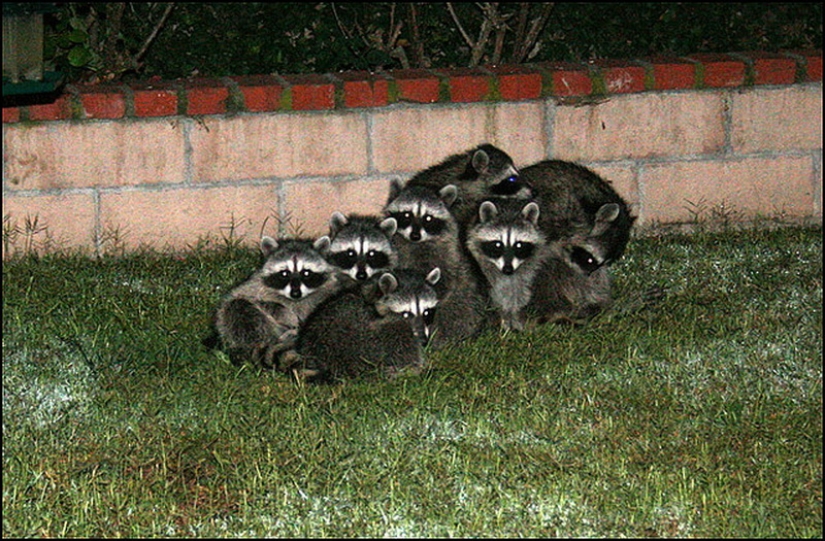 The day of hugs from our younger brothers