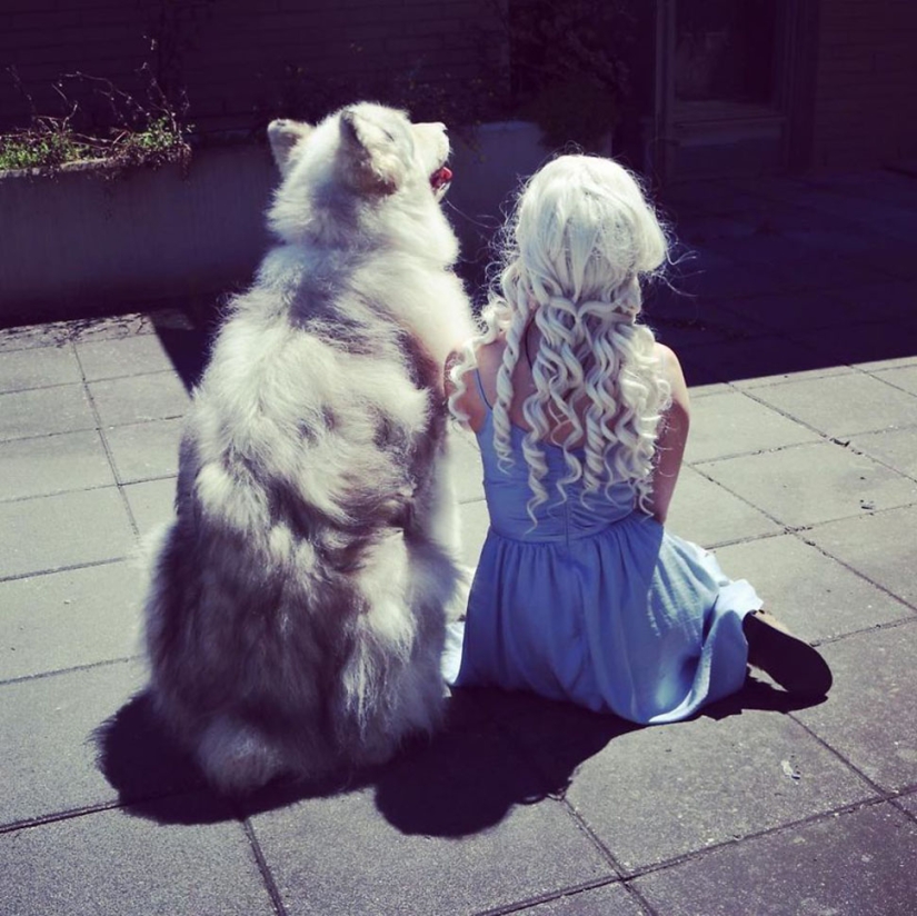 The direwolves from Game of Thrones exist!