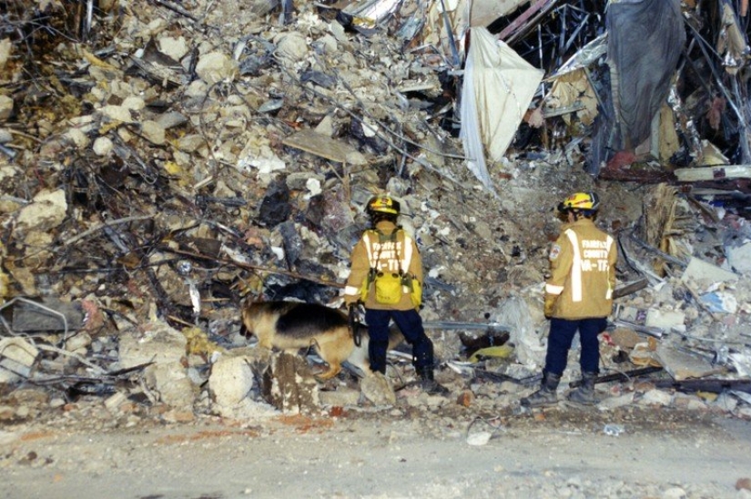 The FBI showed previously unknown photos of the Pentagon on September 11