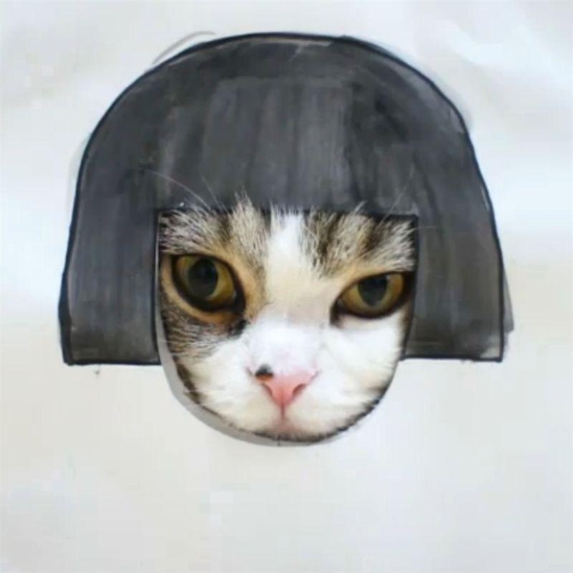 The five most famous cats of the Internet The five most famous cats of the Internet