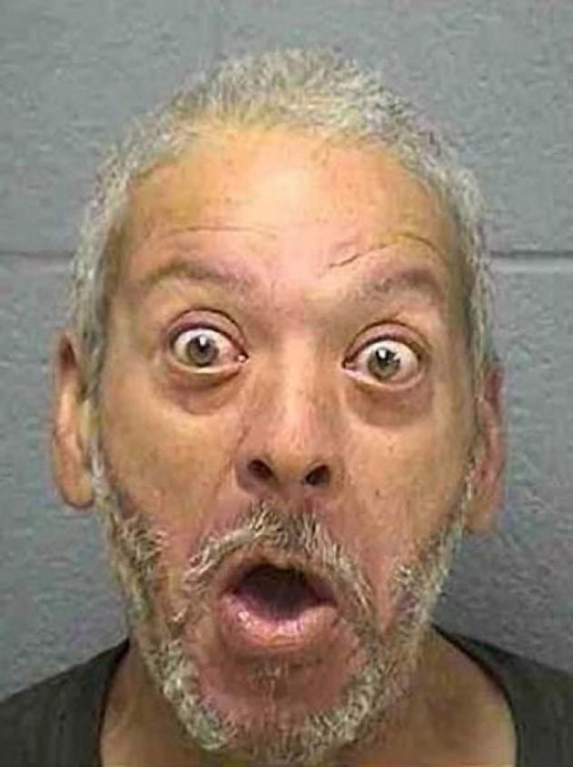 The funniest photos from the police database