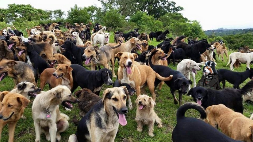 "The Future that Liberals want" is a new American meme about a combination of incongruous