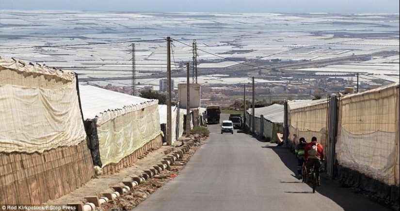 The grandiose greenhouses of Almeria The grandiose greenhouses of Almeria