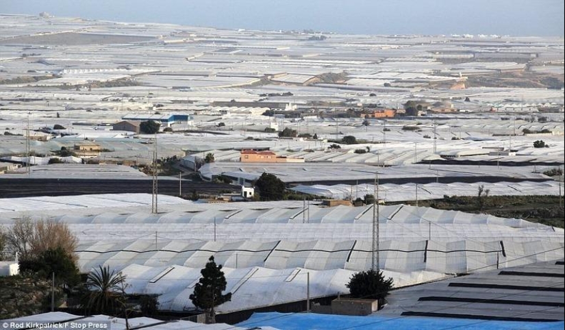 The grandiose greenhouses of Almeria The grandiose greenhouses of Almeria
