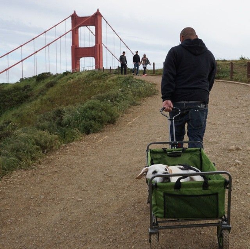 The guy went on a trip with his dog, knowing that this is their last adventure