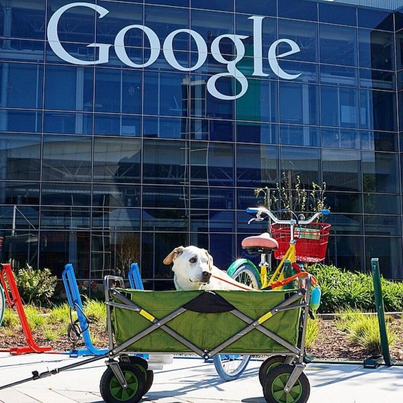 The guy went on a trip with his dog, knowing that this is their last adventure