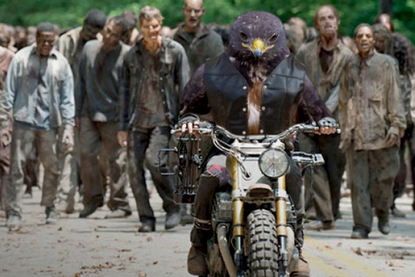 The hawk became the hero of the photoshop battle